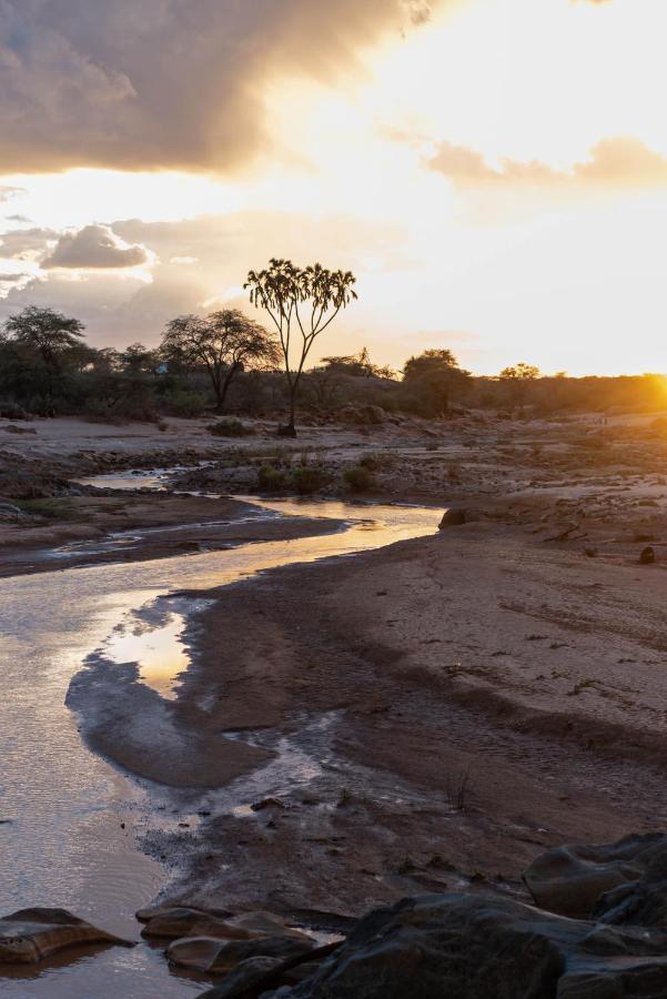 Sarova Shaba Game Lodge Archers Post Εξωτερικό φωτογραφία