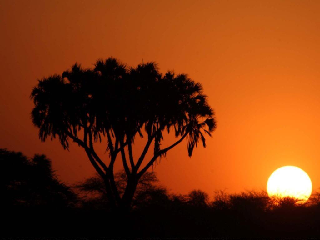 Sarova Shaba Game Lodge Archers Post Εξωτερικό φωτογραφία
